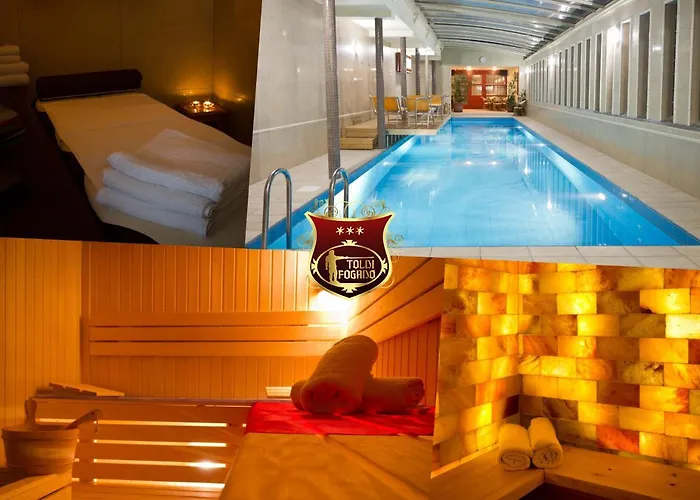 Otel Toldi Fogado